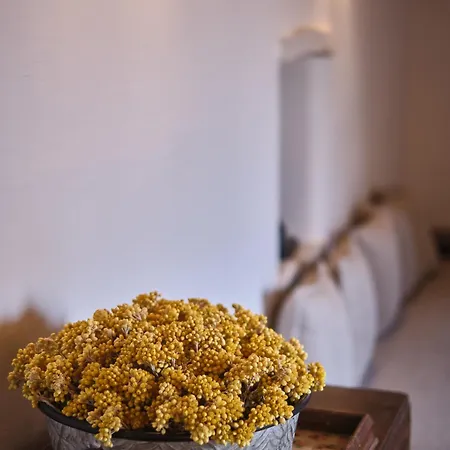 Elegantly Restored Traditional * Logothetianika